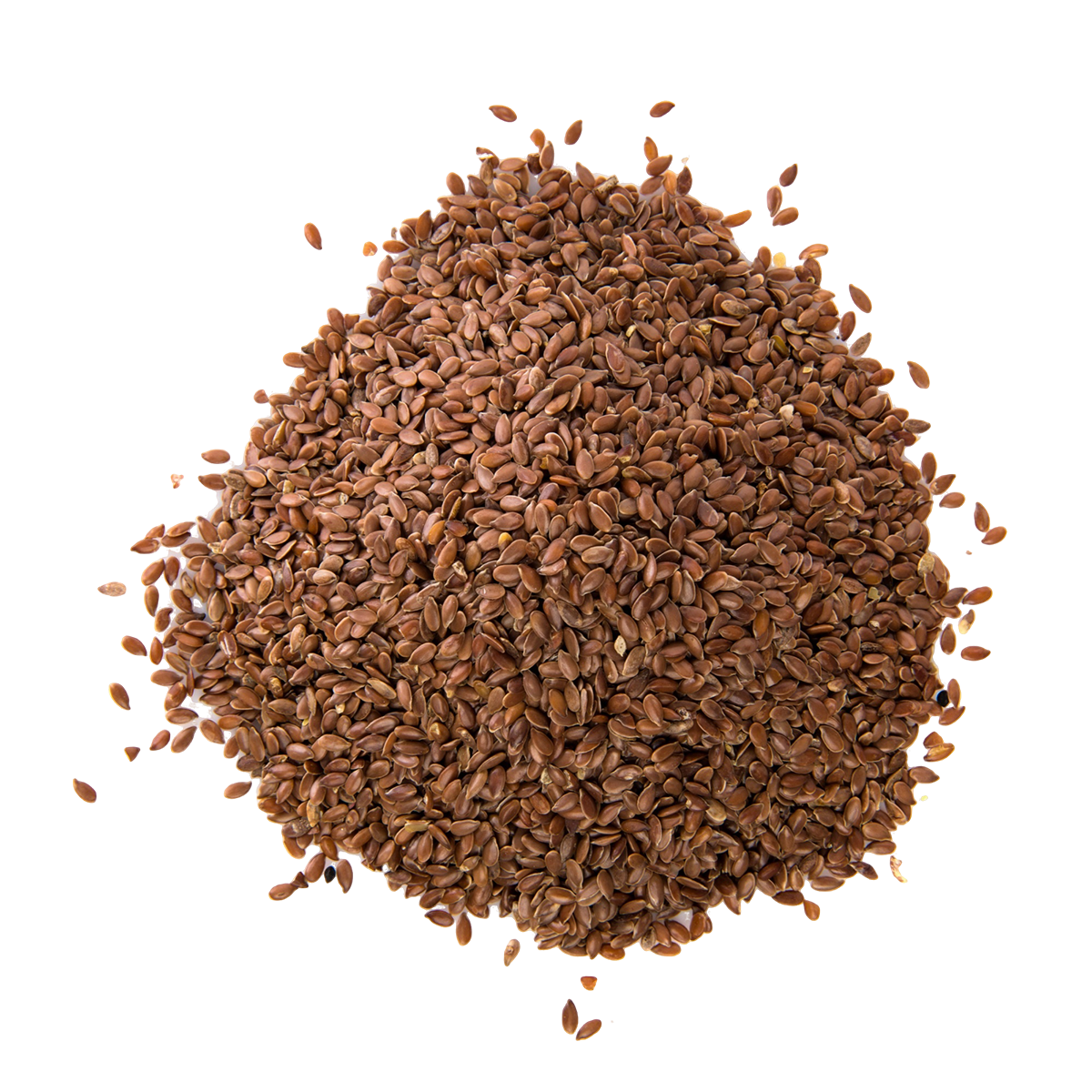Flax Seeds